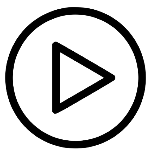 playVideo